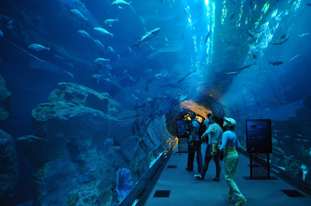 Aquarium