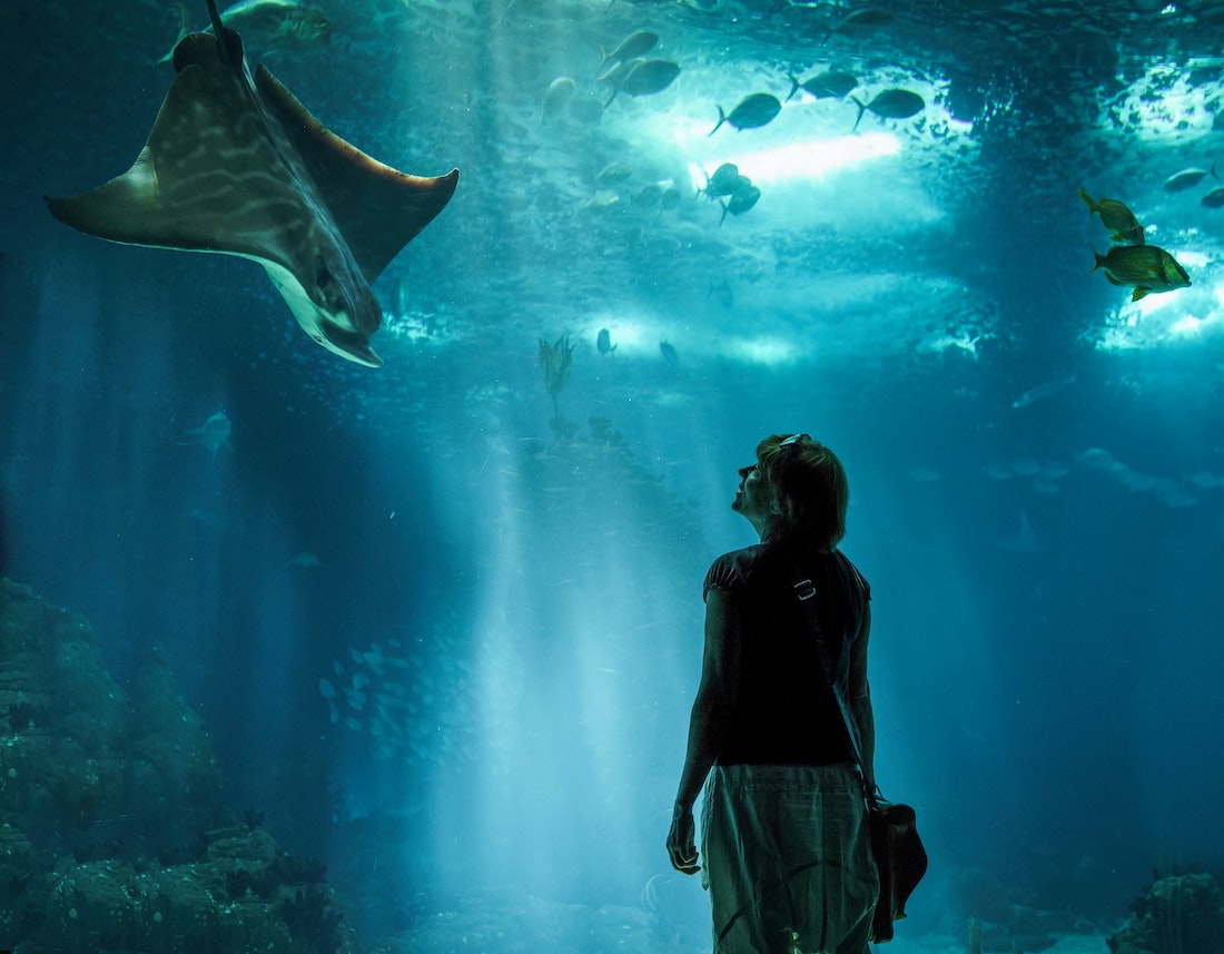 Lisboa Aquarium