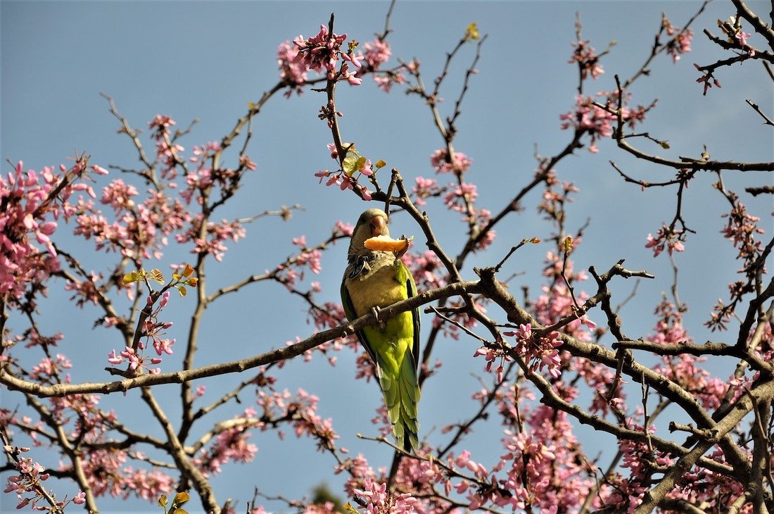 Barcelona zoo